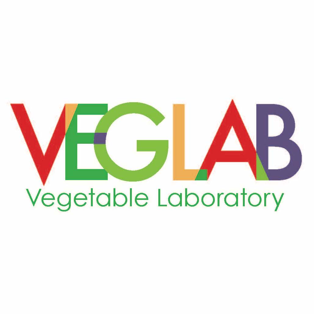 VEGLAB LOGO Cのコピー2